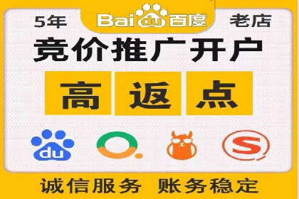 SEM代理助力品牌：案例解析与优化策略